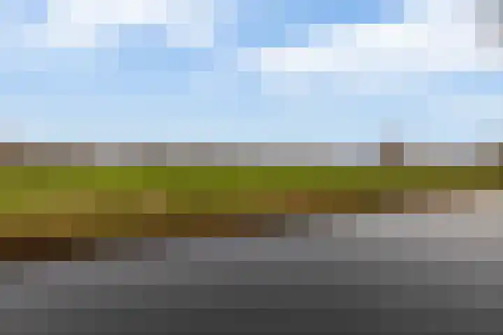Harpoen 14 Krimpen aan de Lek thumbnail 44