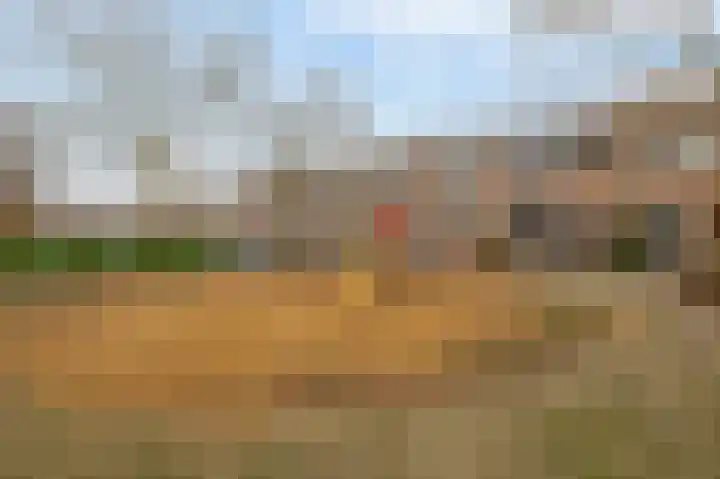 Harpoen 14 Krimpen aan de Lek thumbnail 45