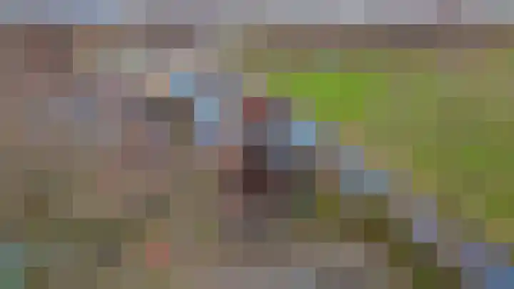 Harpoen 14 Krimpen aan de Lek thumbnail 46