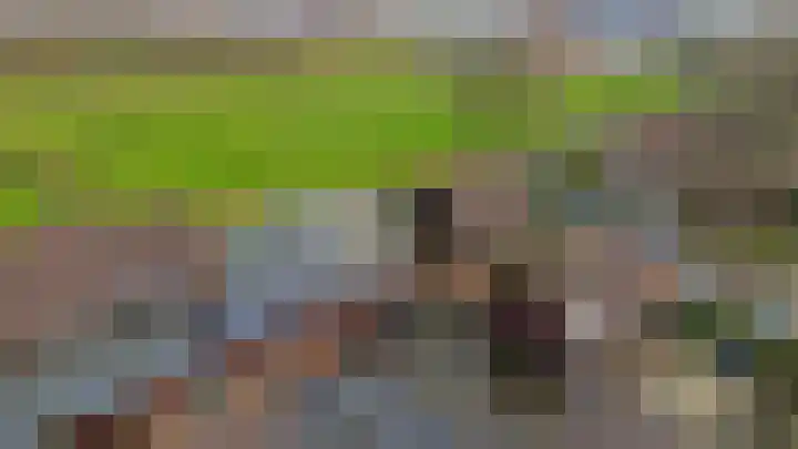 Harpoen 14 Krimpen aan de Lek thumbnail 47