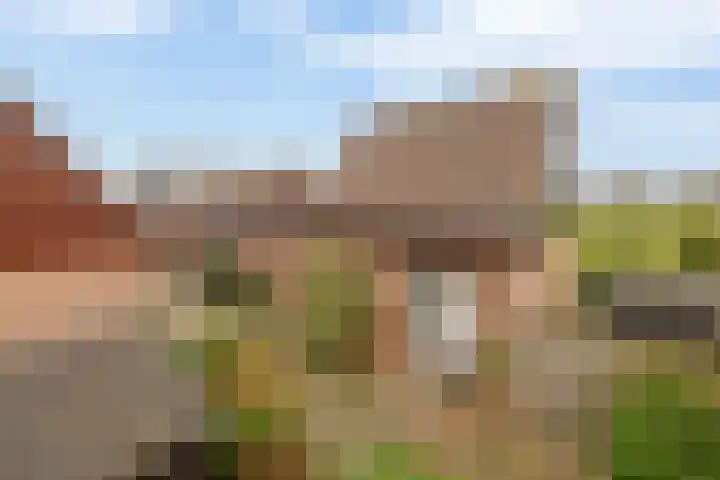 Harpoen 14 Krimpen aan de Lek thumbnail 59