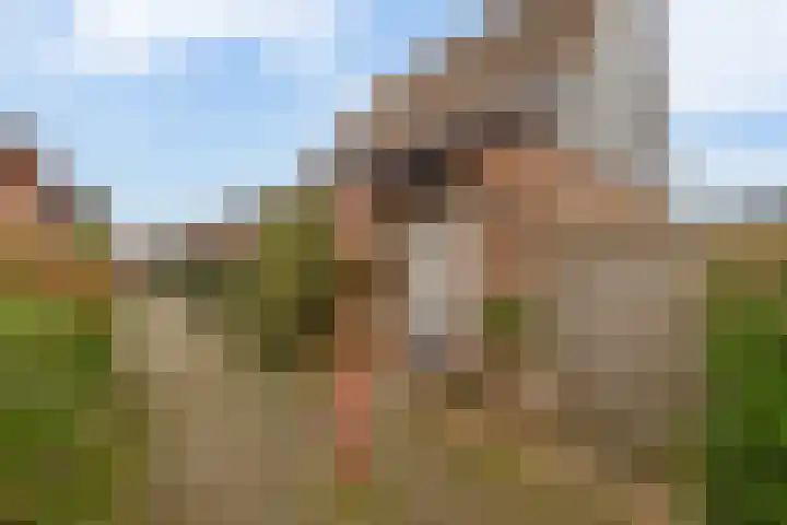 Harpoen 14 Krimpen aan de Lek thumbnail 60