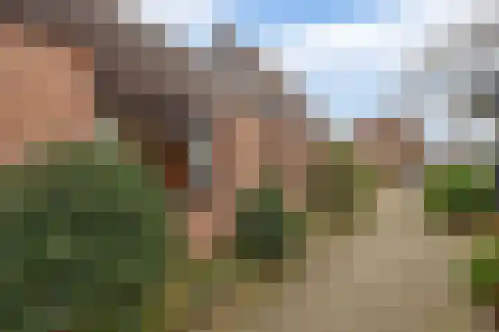 Harpoen 14 Krimpen aan de Lek thumbnail 61