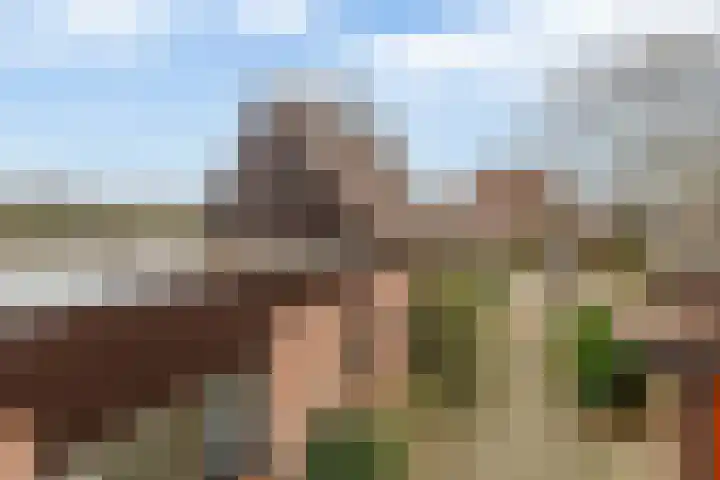 Harpoen 14 Krimpen aan de Lek thumbnail 62
