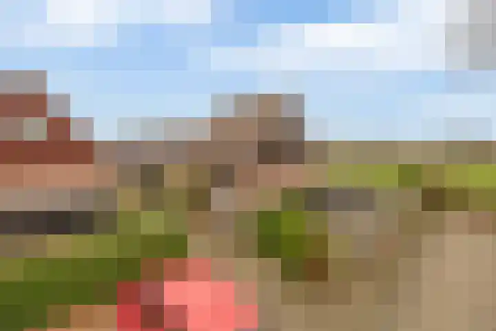 Harpoen 14 Krimpen aan de Lek thumbnail 63