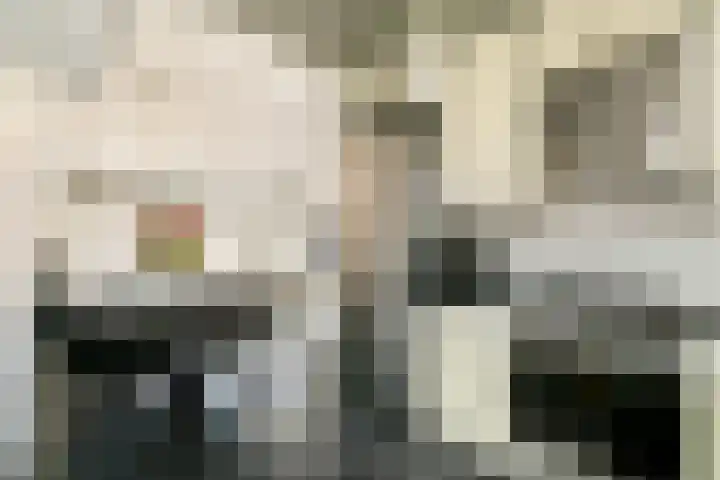 Harpoenier 23 Landsmeer thumbnail 10