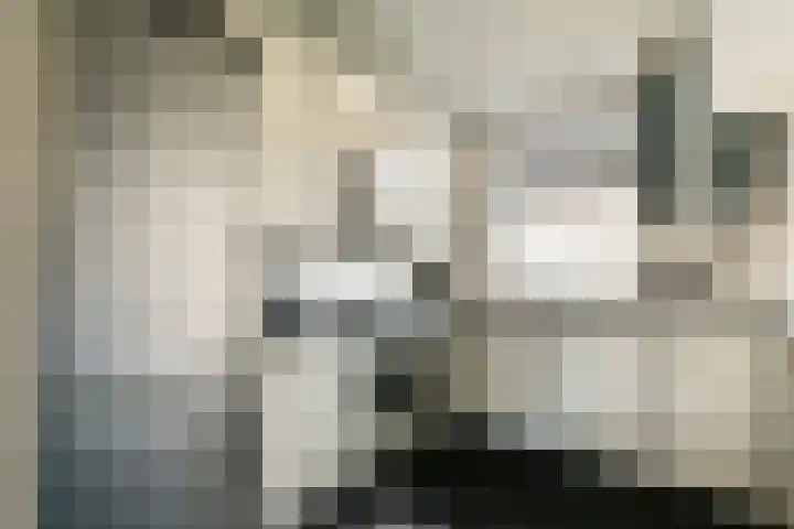 Harpoenier 23 Landsmeer thumbnail 11