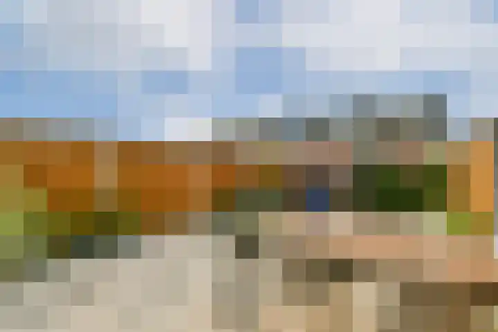 Harpoenier 23 Landsmeer thumbnail 13