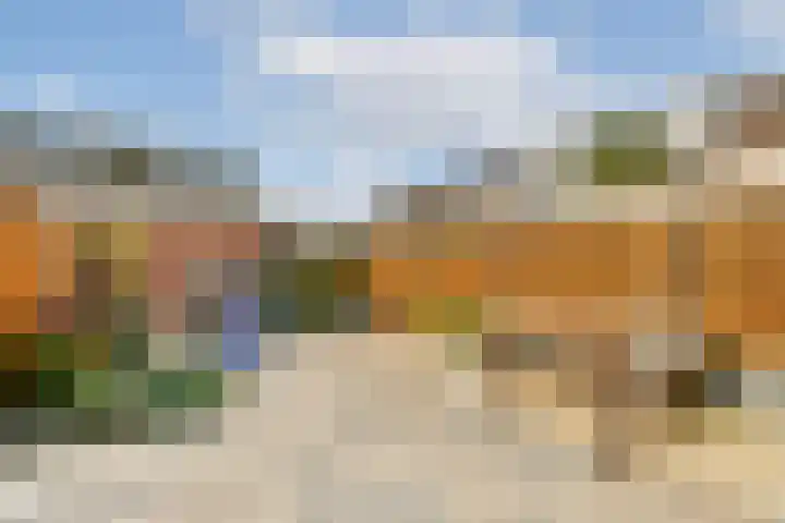 Harpoenier 23 Landsmeer thumbnail 14