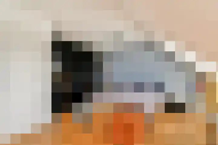 Harpoenier 23 Landsmeer thumbnail 17