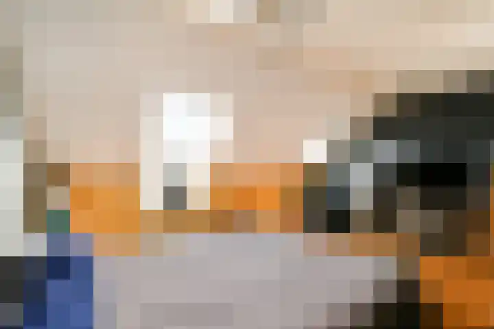Harpoenier 23 Landsmeer thumbnail 18