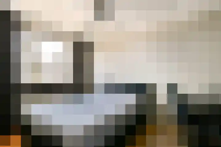 Harpoenier 23 Landsmeer thumbnail 19