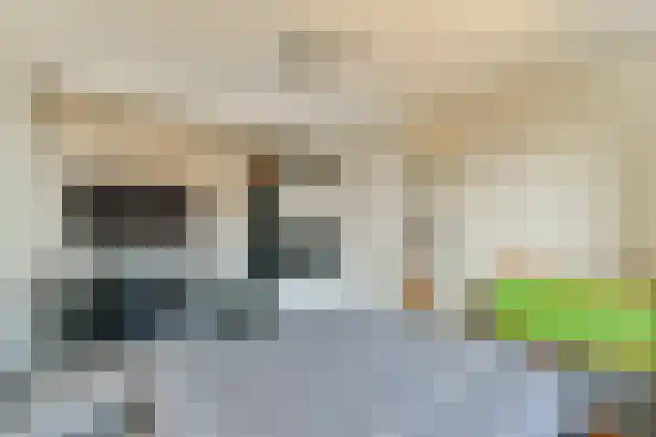 Harpoenier 23 Landsmeer thumbnail 20