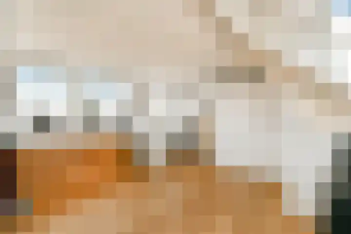 Harpoenier 23 Landsmeer thumbnail 21
