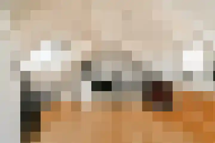Harpoenier 23 Landsmeer thumbnail 22