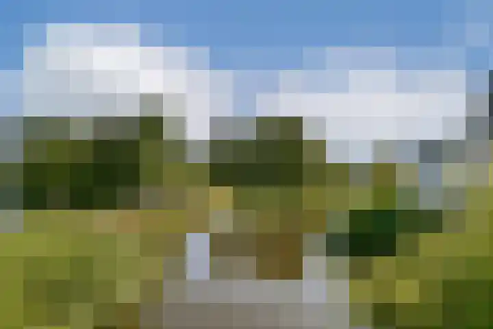 Harpoenier 23 Landsmeer thumbnail 23