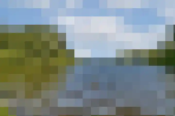 Harpoenier 23 Landsmeer thumbnail 24
