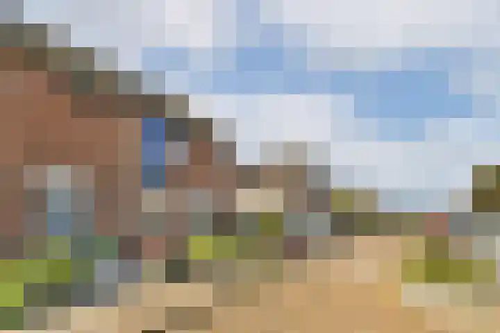 Harpoenier 23 Landsmeer thumbnail 25