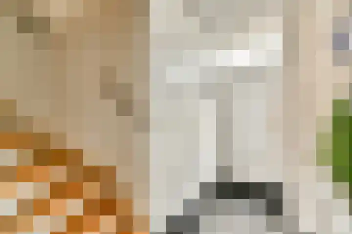 Harpoenier 23 Landsmeer thumbnail 6
