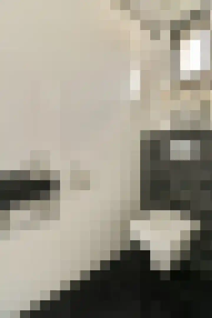 Harpoenier 23 Landsmeer thumbnail 7