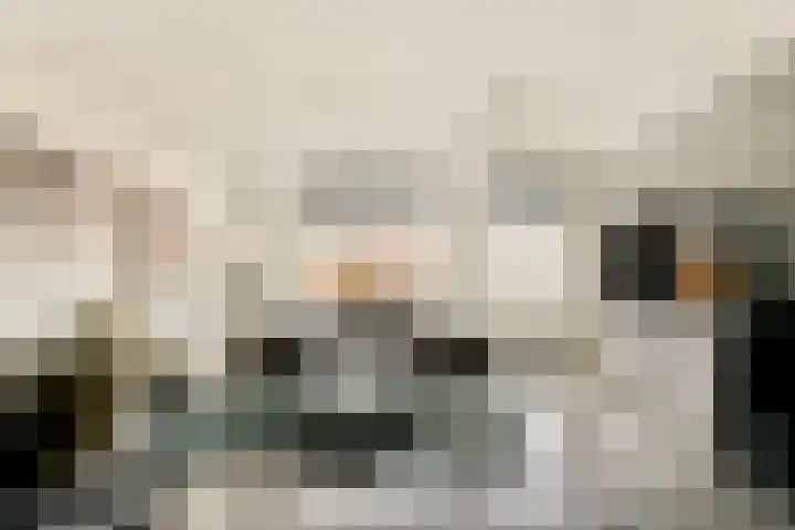 Harpoenier 23 Landsmeer thumbnail 8