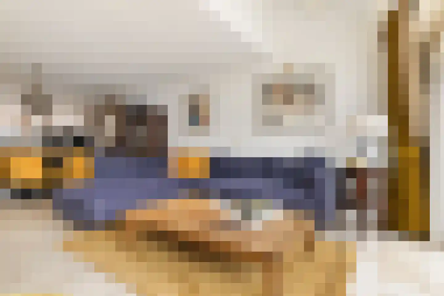 Harpoenier 31 Landsmeer thumbnail 14