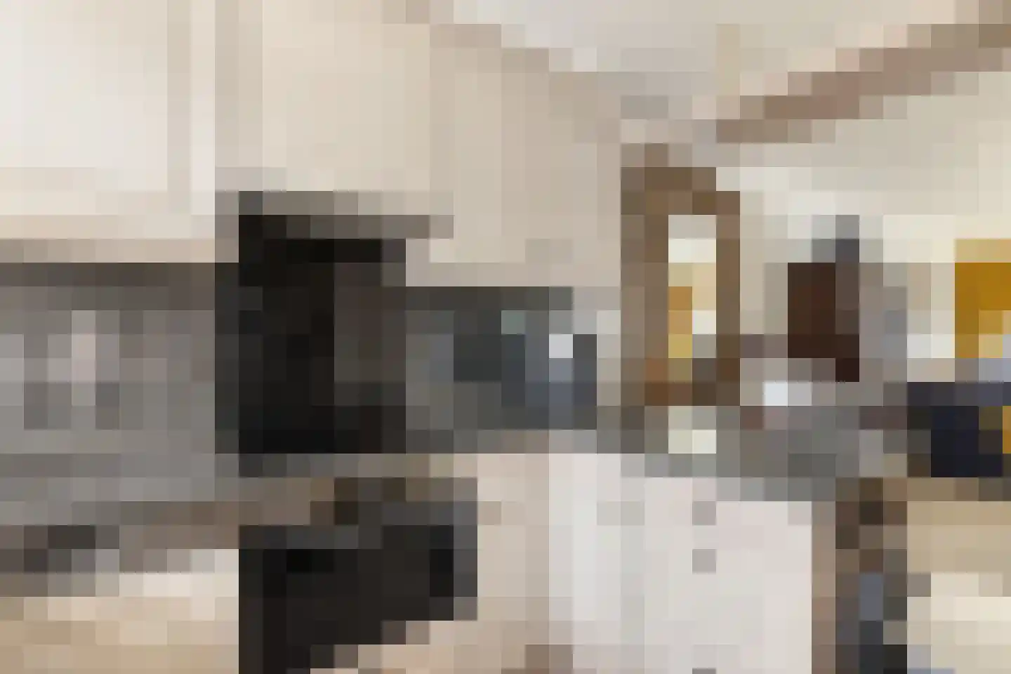 Harpoenier 31 Landsmeer thumbnail 19