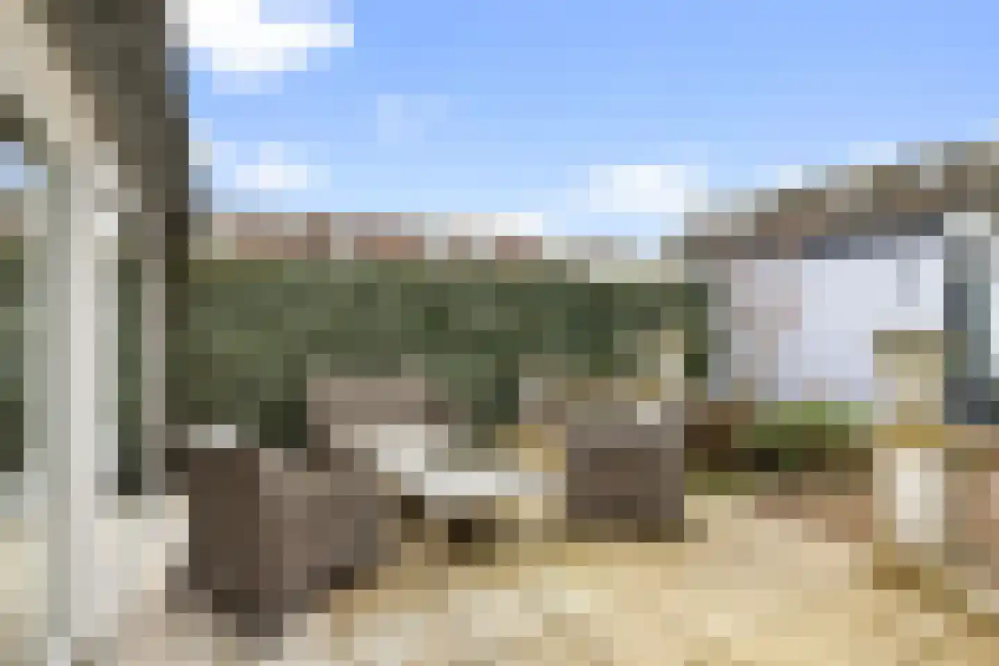 Harpoenier 31 Landsmeer thumbnail 20