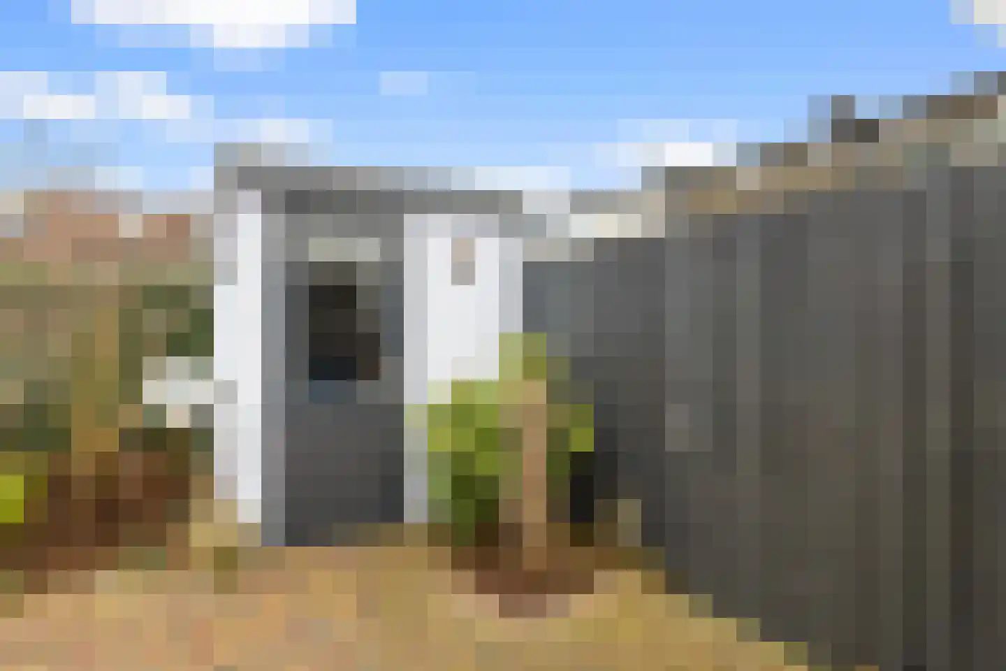 Harpoenier 31 Landsmeer thumbnail 25