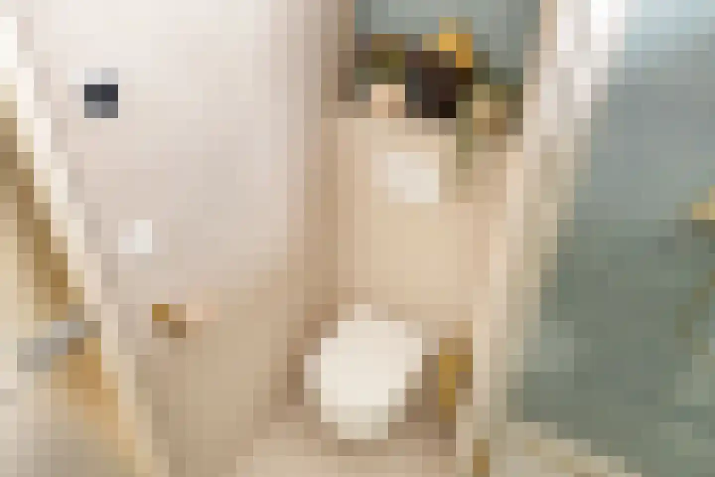 Harpoenier 31 Landsmeer thumbnail 31