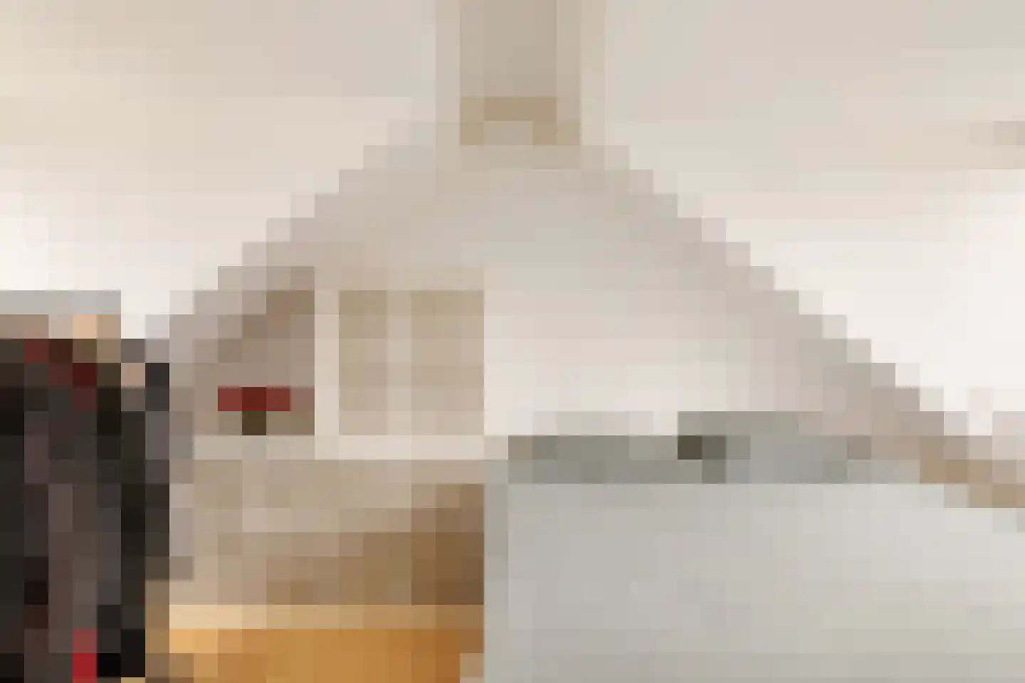 Harpoenier 31 Landsmeer thumbnail 34