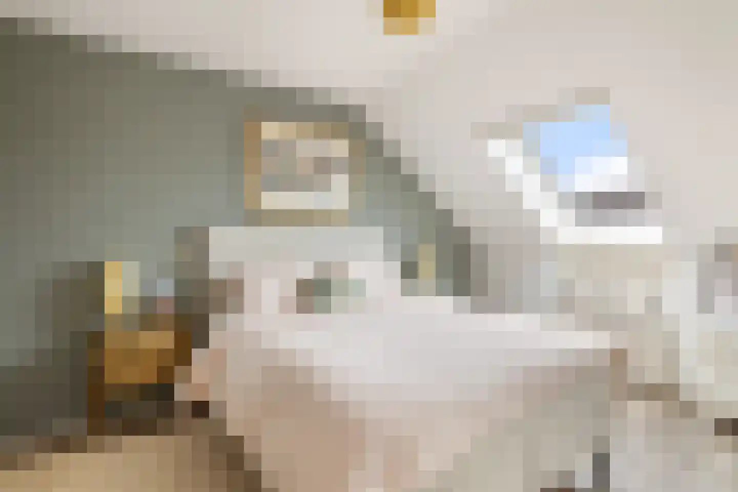 Harpoenier 31 Landsmeer thumbnail 4