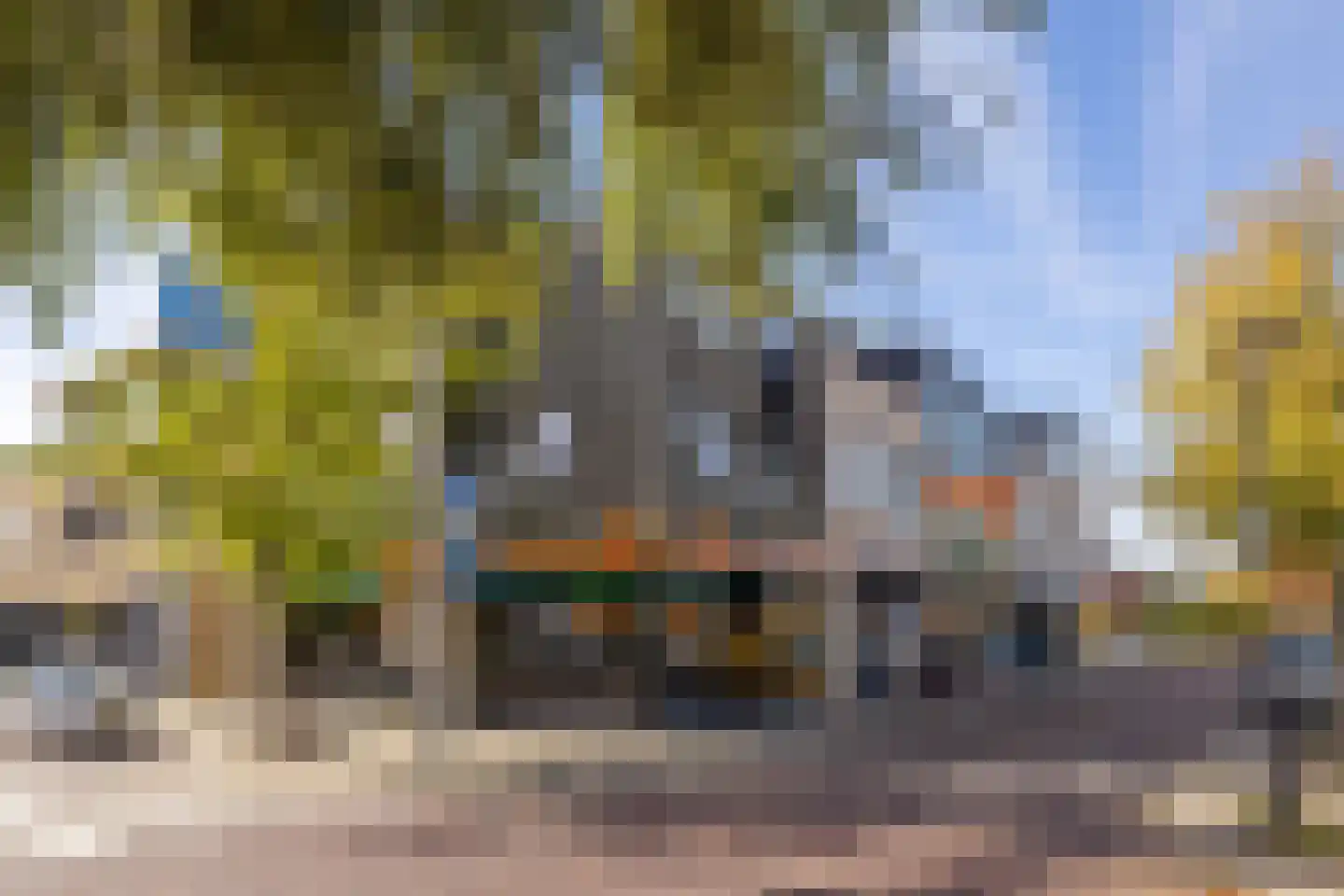 Harpoenier 31 Landsmeer thumbnail 42