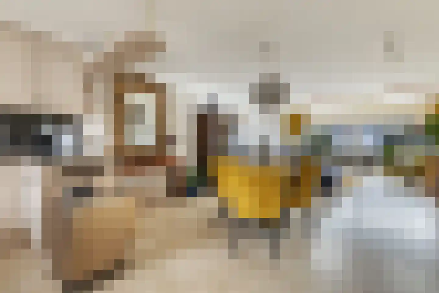 Harpoenier 31 Landsmeer thumbnail 6