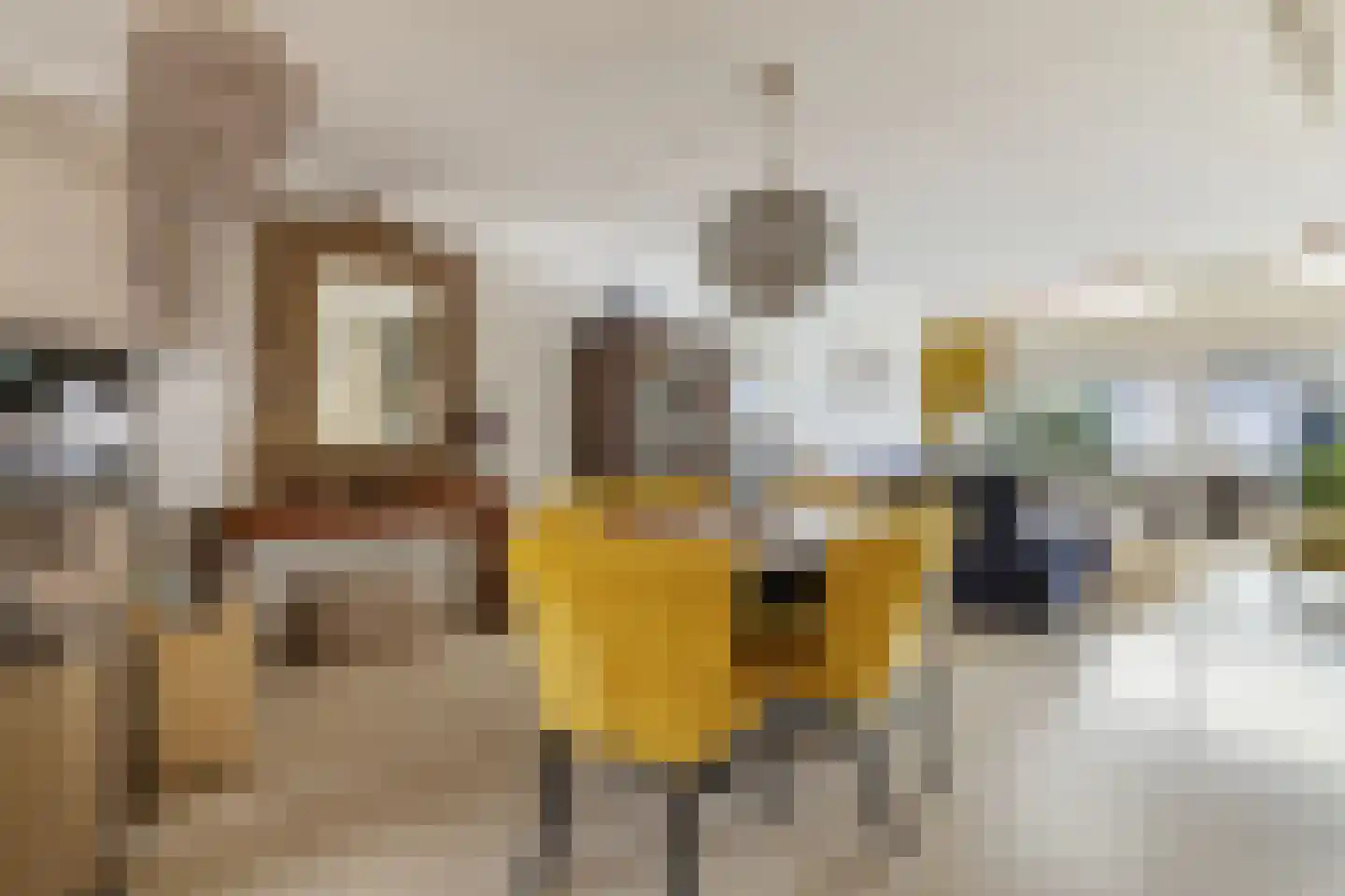 Harpoenier 31 Landsmeer thumbnail 7