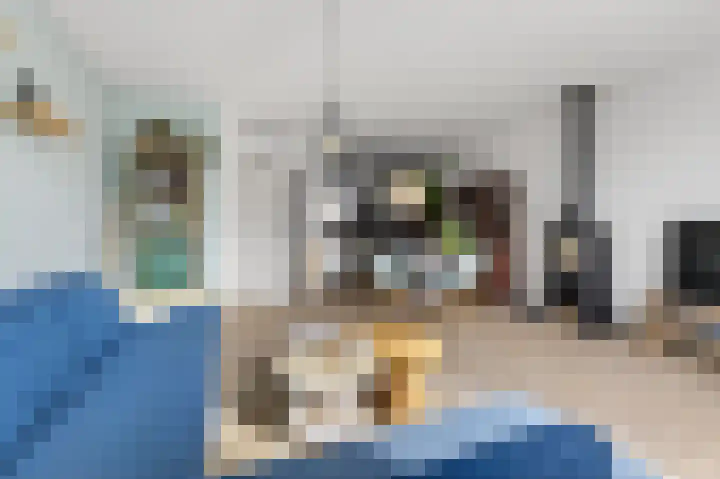 Harpoenier 35 Landsmeer thumbnail 15