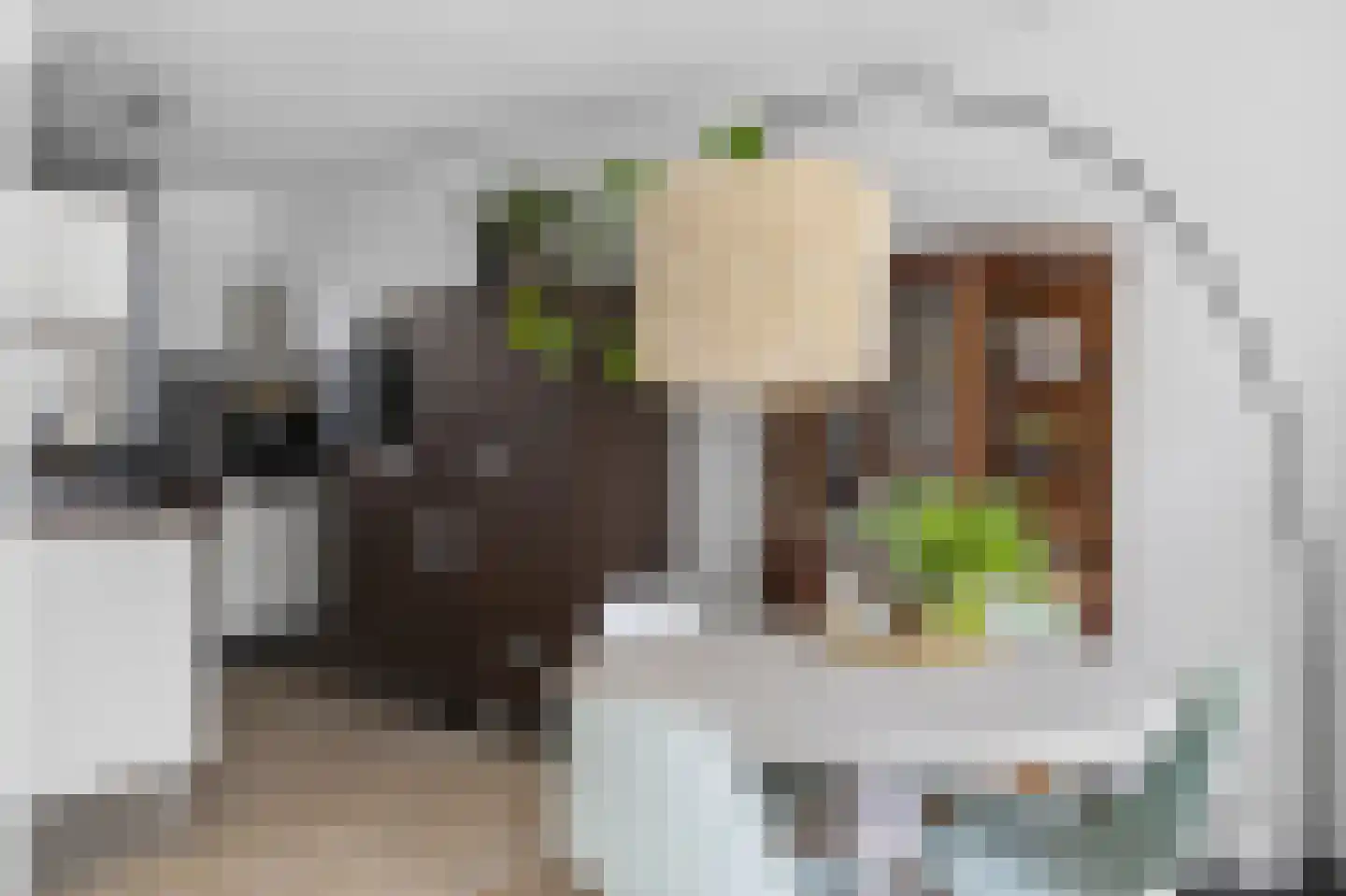 Harpoenier 35 Landsmeer thumbnail 17