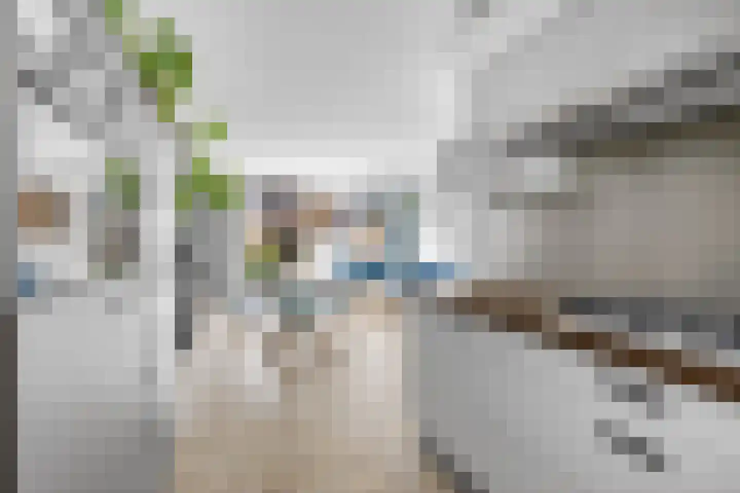 Harpoenier 35 Landsmeer thumbnail 19