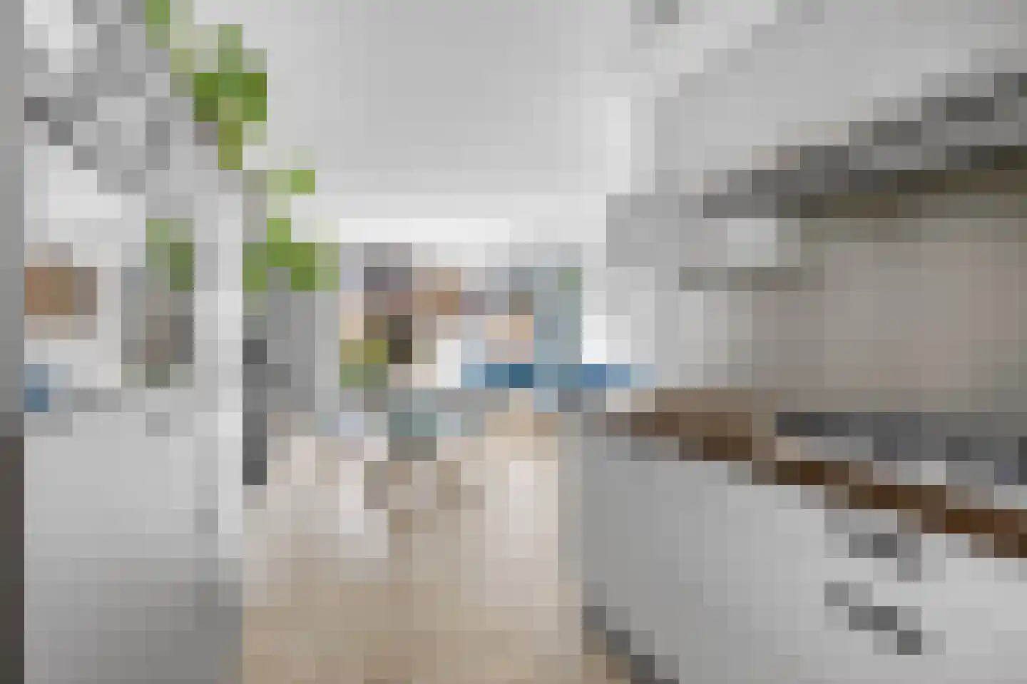 Harpoenier 35 Landsmeer thumbnail 19