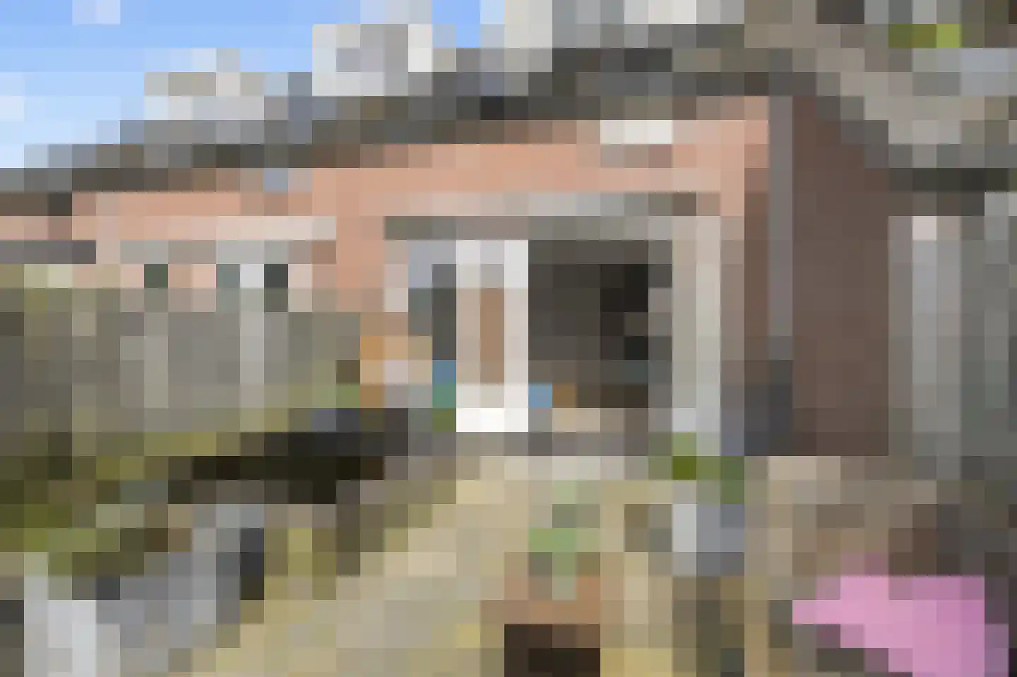 Harpoenier 35 Landsmeer thumbnail 24