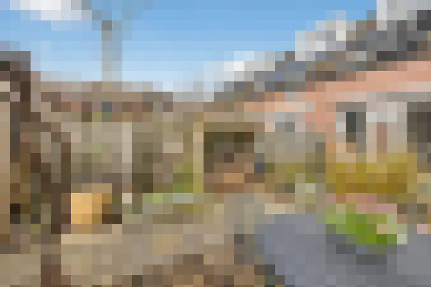 Harpoenier 35 Landsmeer thumbnail 25