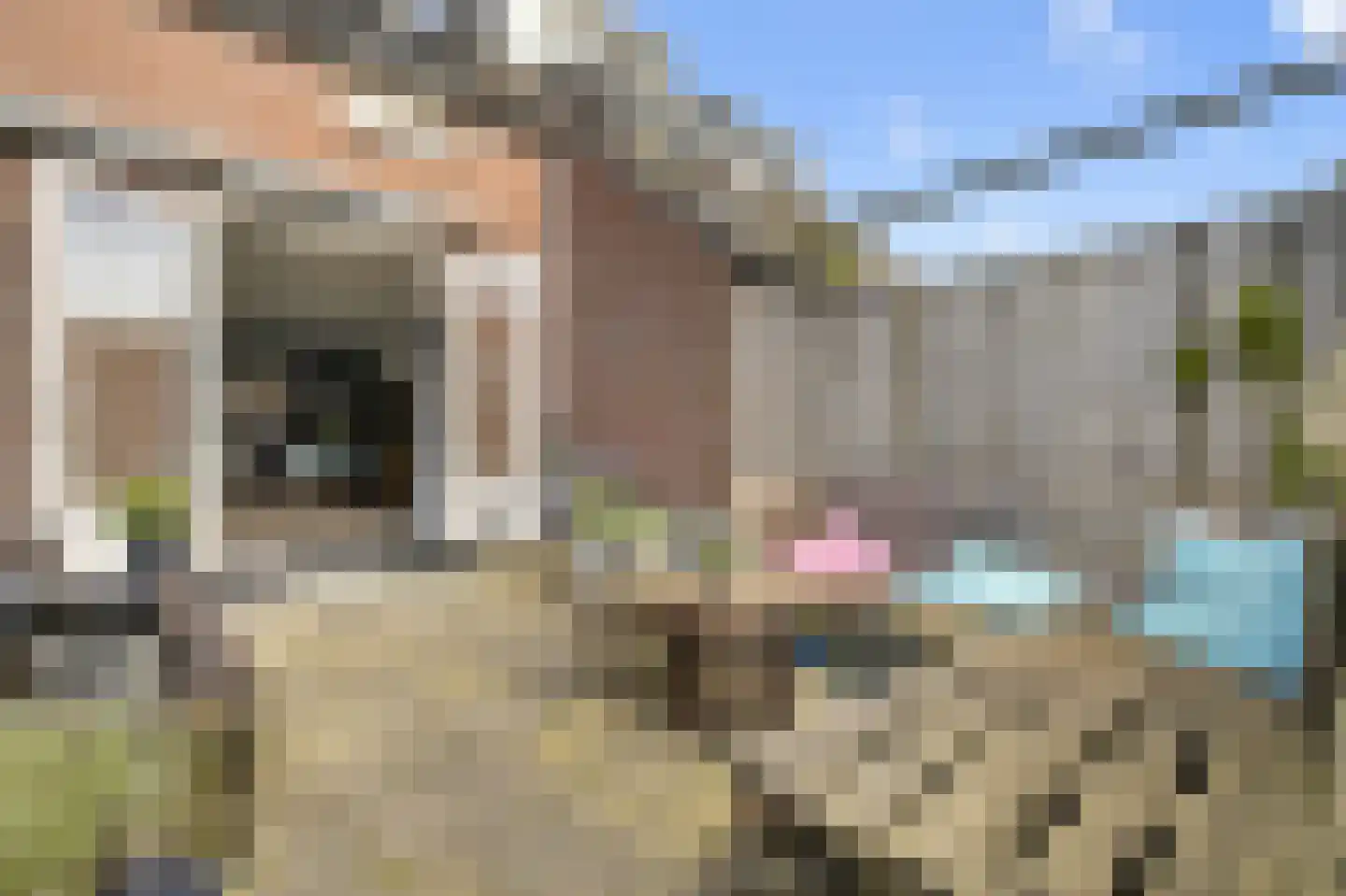 Harpoenier 35 Landsmeer thumbnail 26