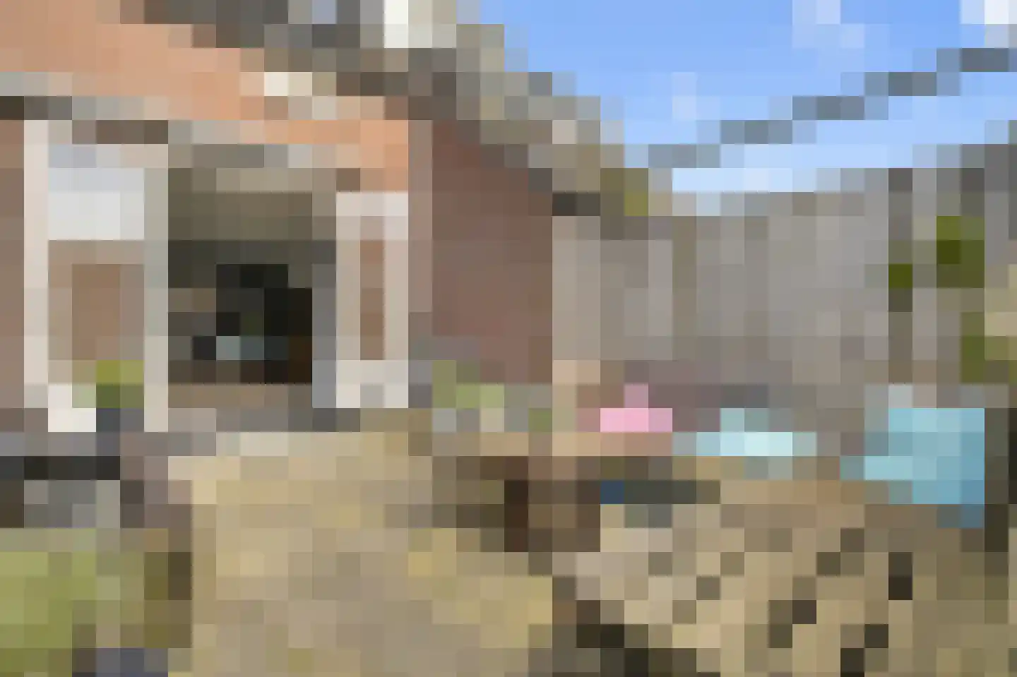 Harpoenier 35 Landsmeer thumbnail 26
