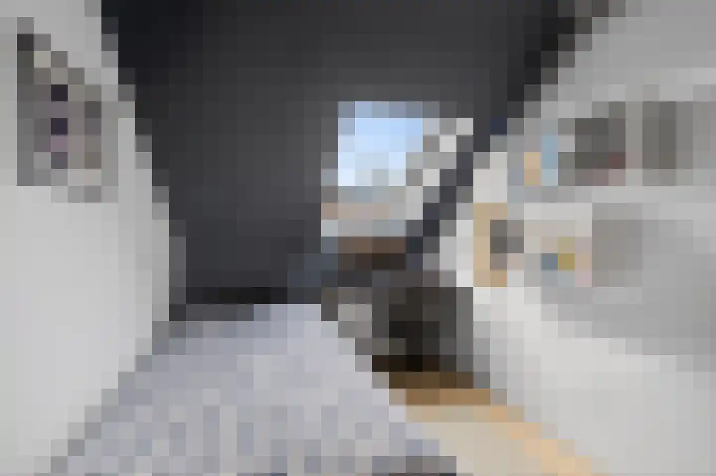 Harpoenier 35 Landsmeer thumbnail 29