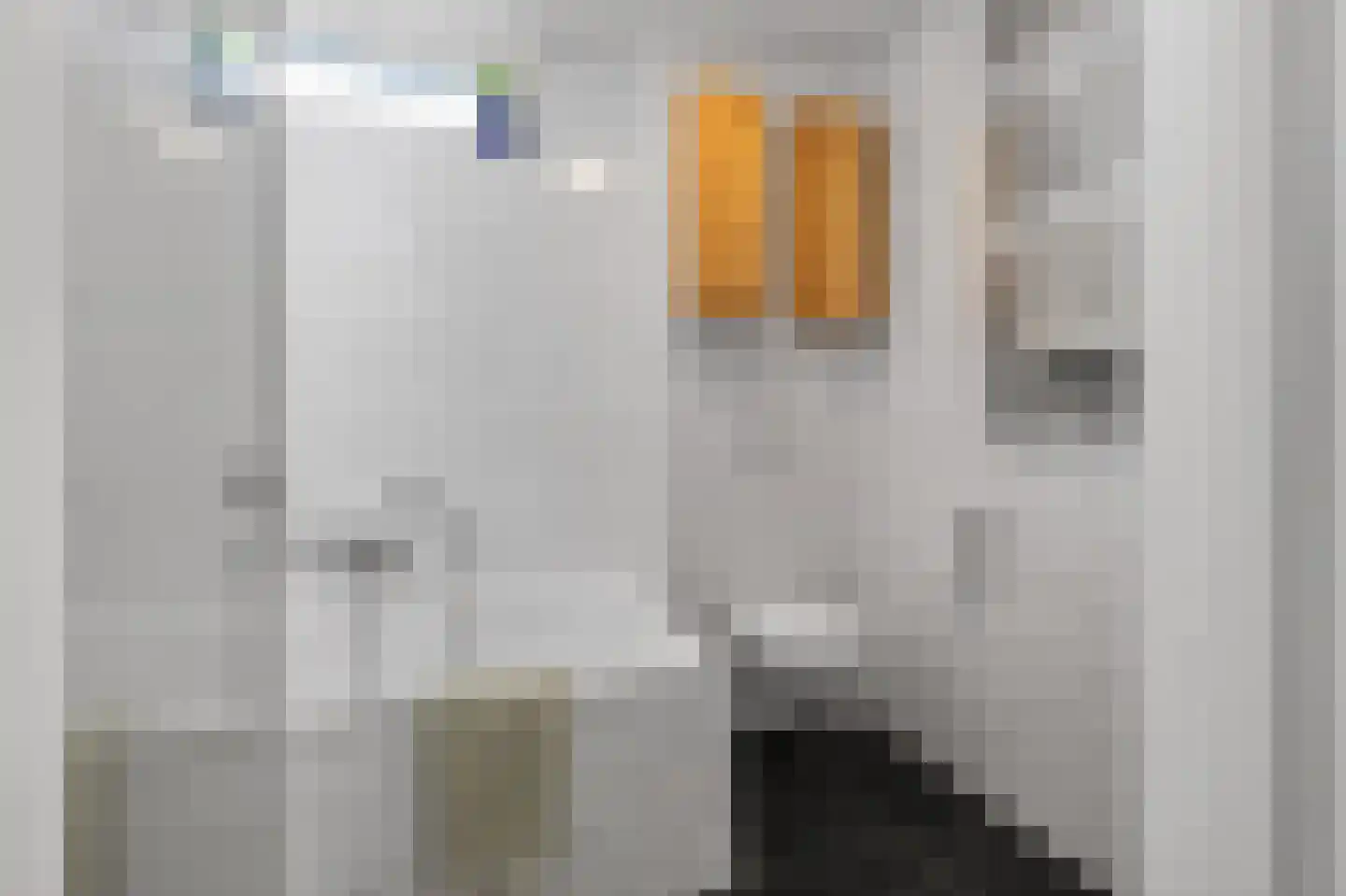 Harpoenier 35 Landsmeer thumbnail 36