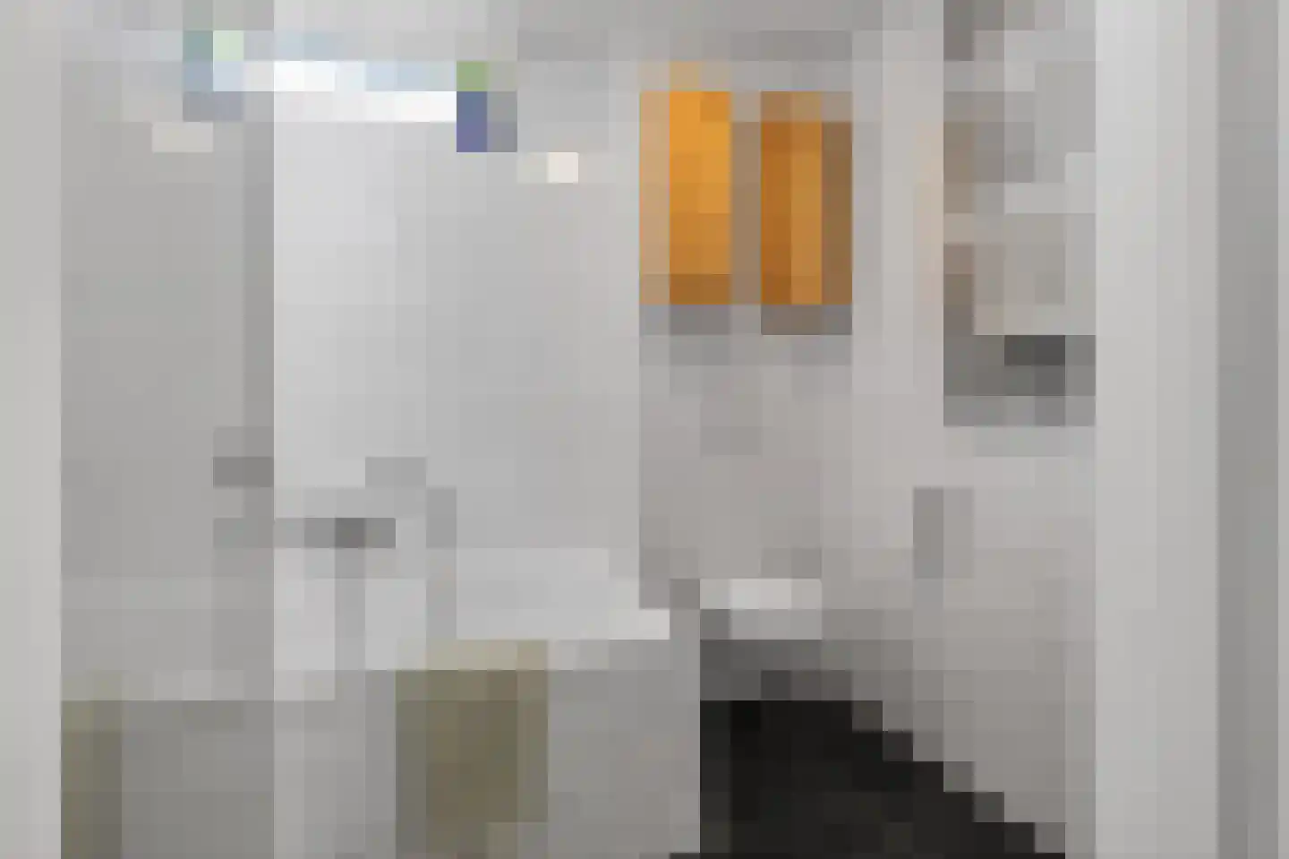 Harpoenier 35 Landsmeer thumbnail 36