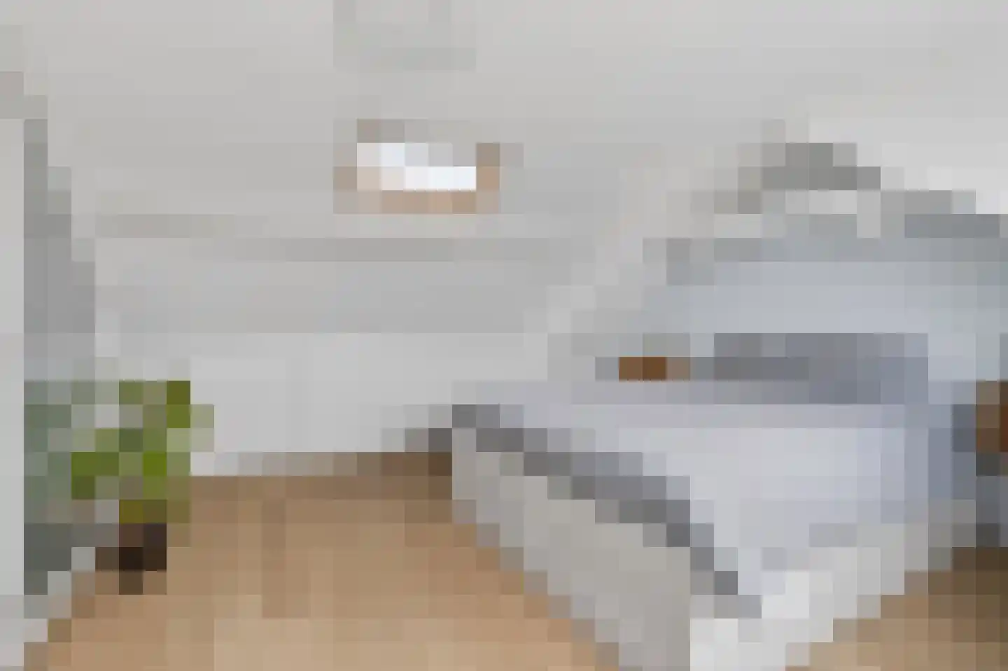 Harpoenier 35 Landsmeer thumbnail 42