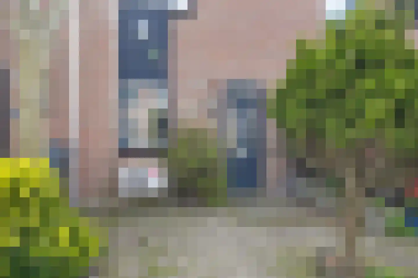 Harpoenier 35 Landsmeer thumbnail 6