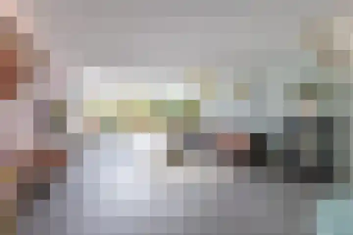 Harpoenier 48 Landsmeer thumbnail 13