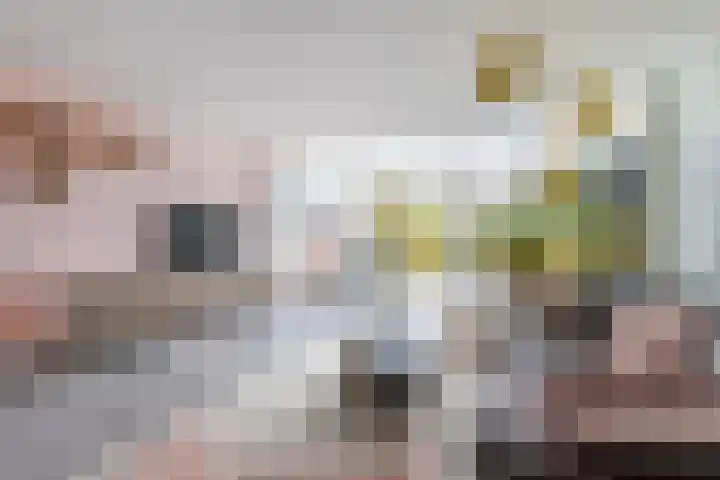 Harpoenier 48 Landsmeer thumbnail 14